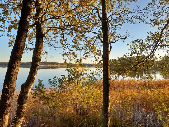 Mäntyniemikoti työpaikkana